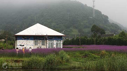 塔湾金沙景区第 3 张图片