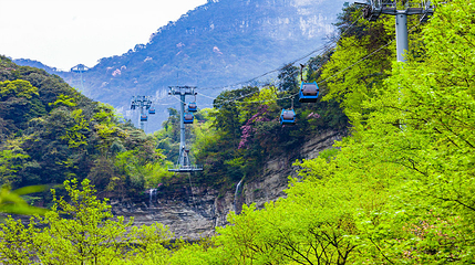 金佛山第 25 张图片
