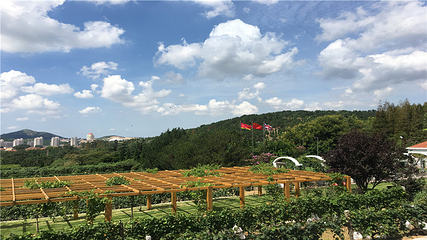 华东百利酒庄第 11 张图片