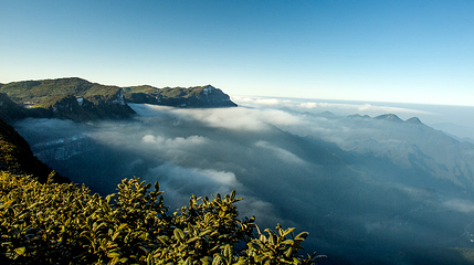 金佛山北坡景区第 45 张图片