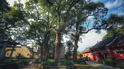 龙虎山风景名胜区第 111 张图片