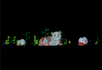 梅园第 204 张图片