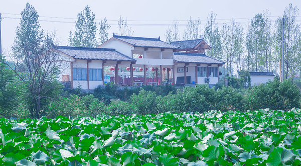 襄阳荷花湖旅游景区