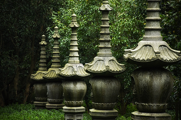 西湖风景名胜区第 145 张图片