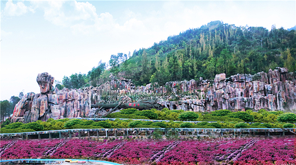 贵州九仙旅游景区第 110 张图片