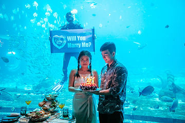 三亚亚特兰蒂斯失落的空间水族馆第 90 张图片