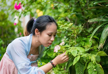 正佳雨林生态植物园第 44 张图片