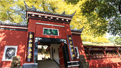 蒙顶山第 46 张图片