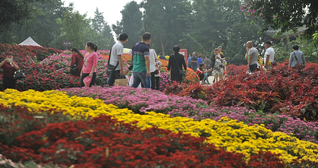 花舞人间第 108 张图片
