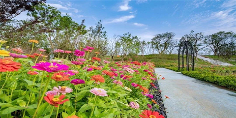 祥源花世界第 29 张图片