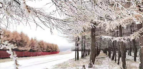 万龙滑雪场第 221 张图片