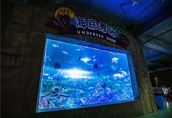 南京海底世界第 67 张图片