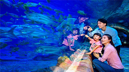 华夏文旅海洋公园第 33 张图片