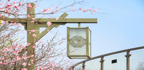 茅山东方盐湖城第 351 张图片