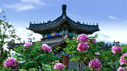 丽正园第 7 张图片