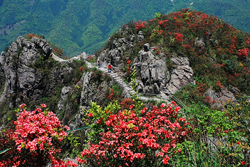 清远金子山原生态旅游风景区第 225 张图片