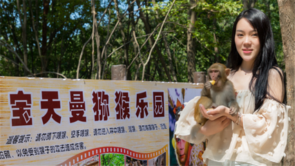 内乡宝天曼生态文化旅游区第 19 张图片