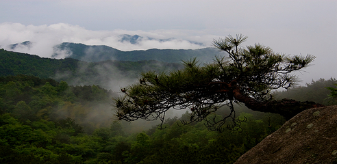 湖北三角山旅游度假区第 31 张图片
