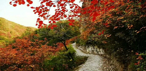 白银坨旅游风景区第 15 张图片