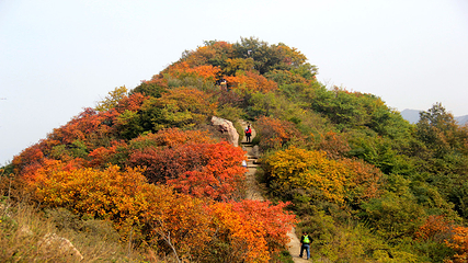 大鸿寨风景区第 21 张图片