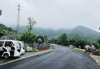 千岛湖石林景区第 46 张图片