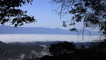 蒙顶山第 120 张图片