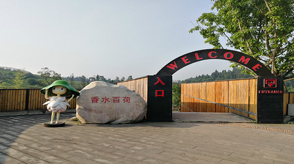 香水百荷景区第 31 张图片