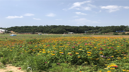 信阳多彩田园龙熙谷第 4 张图片