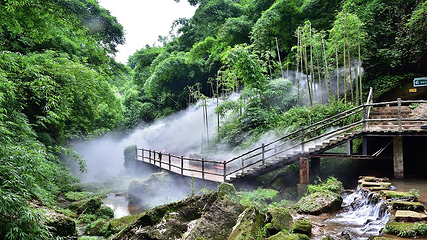 川西竹海景区第 6 张图片