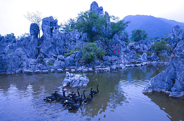 千岛湖石林景区第 19 张图片