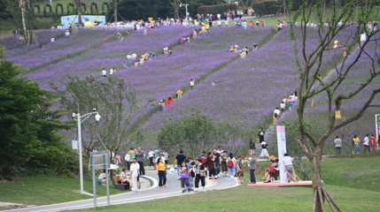 横山花仙谷第 64 张图片