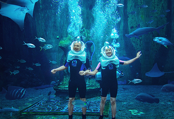 三亚亚特兰蒂斯失落的空间水族馆第 99 张图片