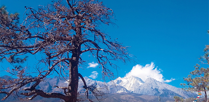 雪山峡谷演艺公园