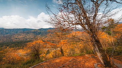 二郎山喇叭河风景区第 84 张图片