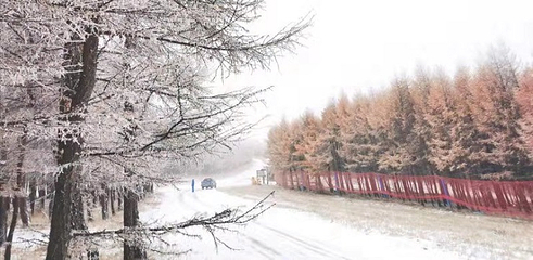 万龙滑雪场第 222 张图片