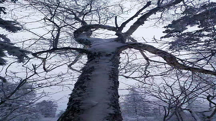 长白山仙峰雪岭景区第 61 张图片
