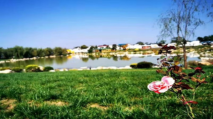 渭南植物园第 3 张图片