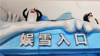 张家界冰雪世界第 28 张图片