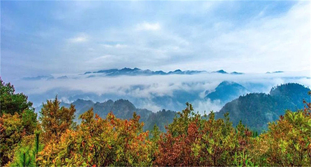 穿岩山国家森林公园第 12 张图片