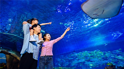 华夏文旅海洋公园第 38 张图片