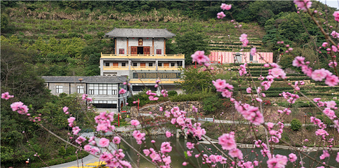 北溪文苑风景区第 49 张图片