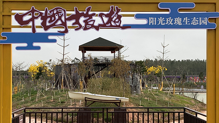 湛江阳光玫瑰葡萄庄园第 17 张图片