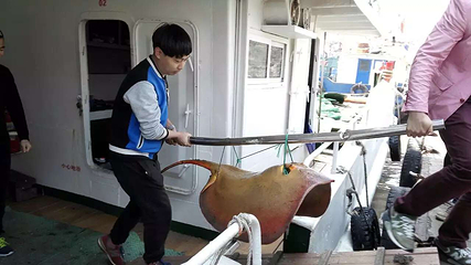 石浦捕鱼第 17 张图片