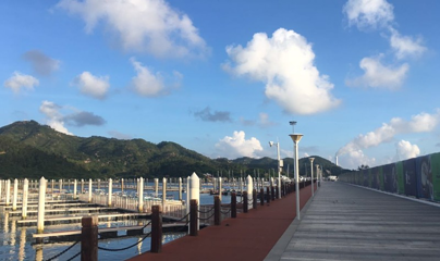 巽寮湾第 46 张图片
