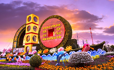 小榄菊花会第 17 张图片