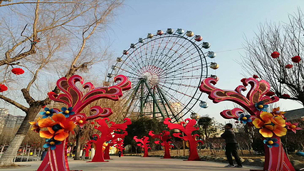 神州鸟园第 52 张图片