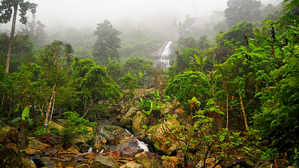 海南百花岭热带雨林文化旅游区第 23 张图片