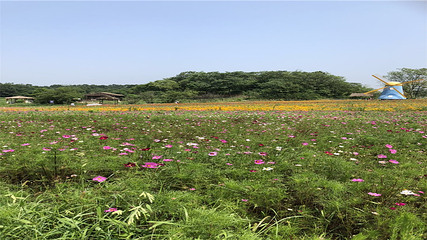 信阳多彩田园龙熙谷第 6 张图片