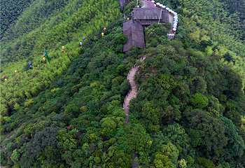 天目湖南山竹海第 134 张图片