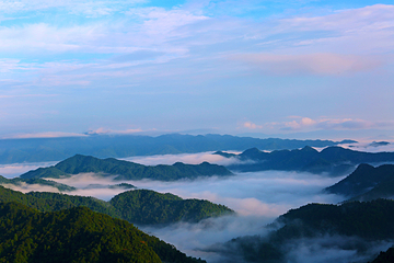 三百山景区第 80 张图片